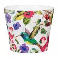 Obal Tropicana 15/808