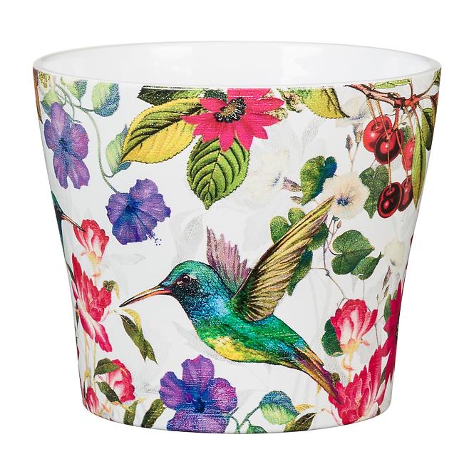 Obal Tropicana 15/808