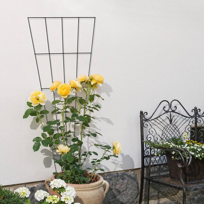 Mriežka na popínavé rastliny 150 cm V-tvarovaná, antracit,2