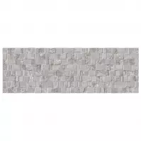 Obklad Aries gris 20/60