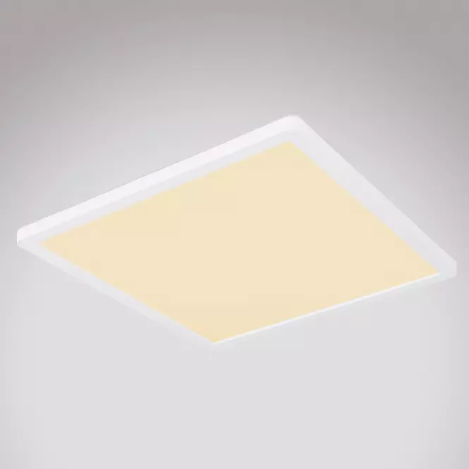 Stropnica 41563-24W LED biely PL