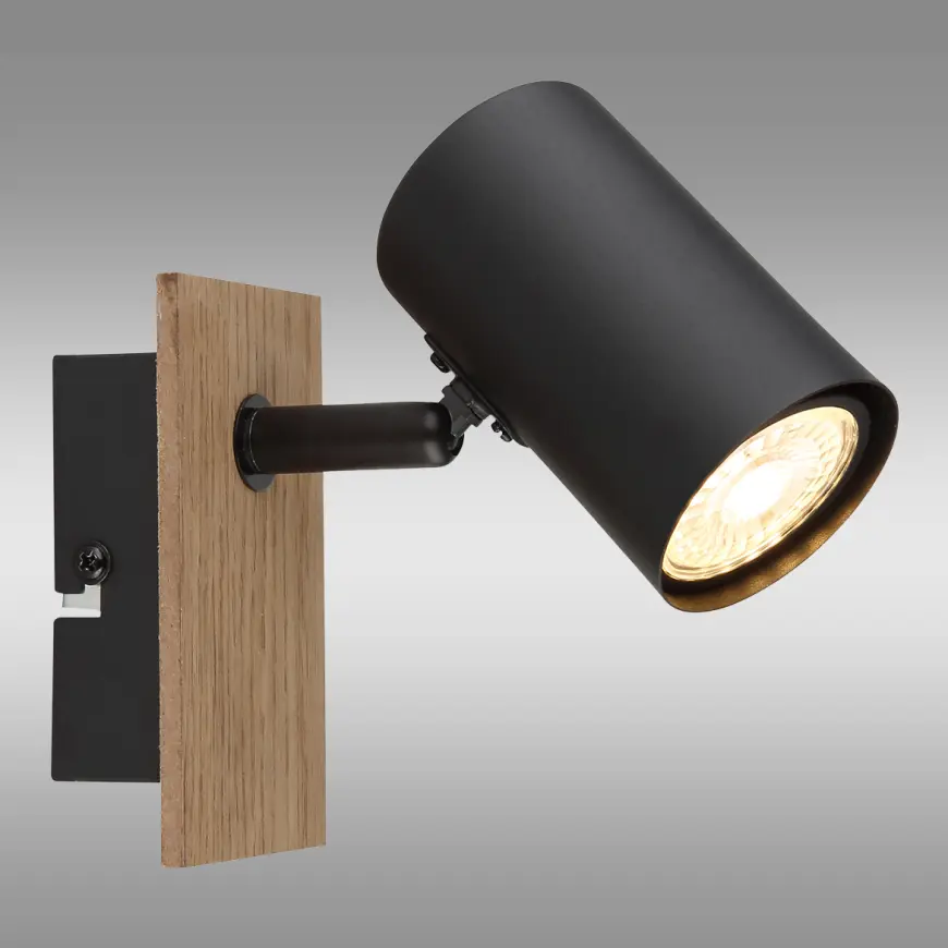 Fotografia produktu: Luster 57905-1 Ls1