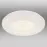 Stropnica 41369-18 LED farba PL