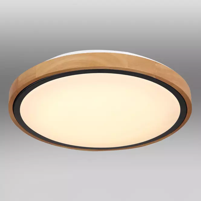 Stropnica 41764-12 LED 12W čierna PL,2