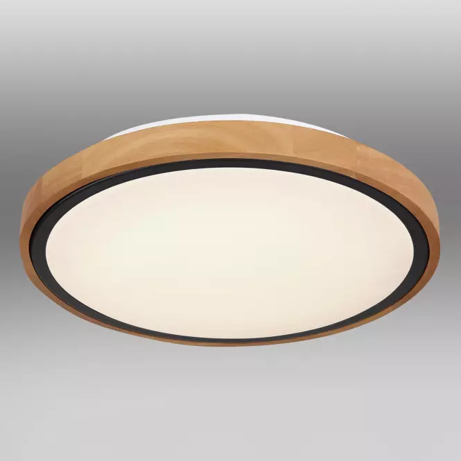 Stropnica 41764-12 LED 12W čierna PL,3