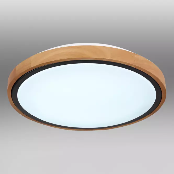 Stropnica 41764-12 LED 12W čierna PL,4