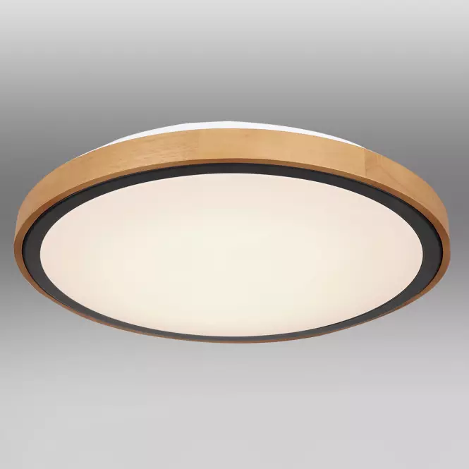 Stropnica 41764-24 LED 24W čierna PL
