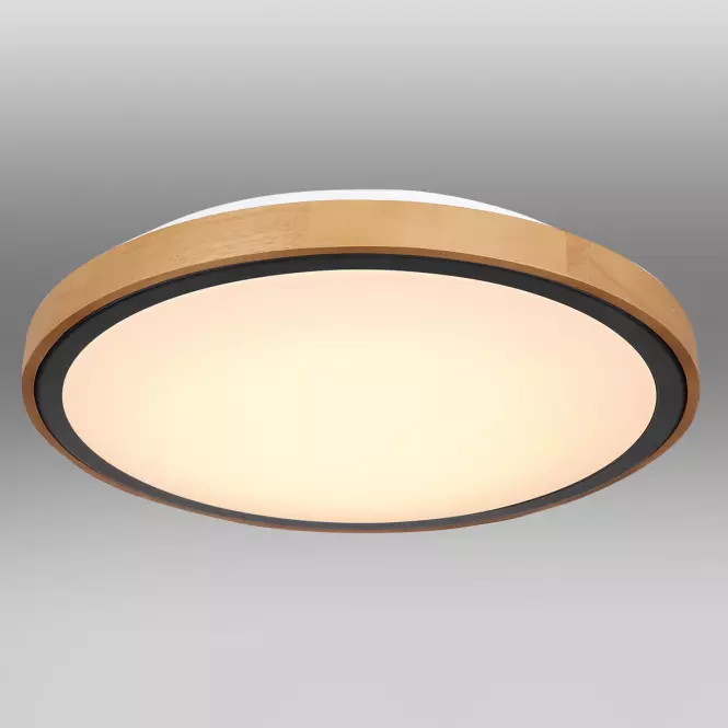 Stropnica 41764-24 LED 24W čierna PL,2