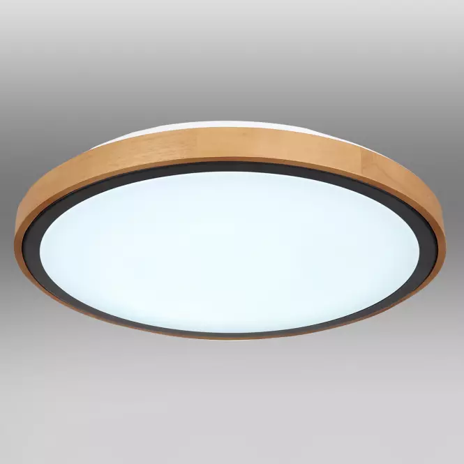 Stropnica 41764-24 LED 24W čierna PL,3