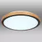 Stropnica 41764-24 LED 24W čierna PL,3