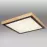 Stropnica 41764-24Q LED PL