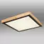Stropnica 41764-24Q LED PL