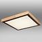 Stropnica 41764-24Q LED PL