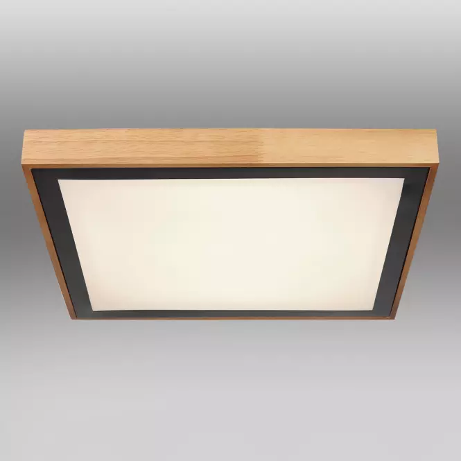 Stropnica 41764-24Q LED PL,2