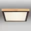 Stropnica 41764-24Q LED PL,2