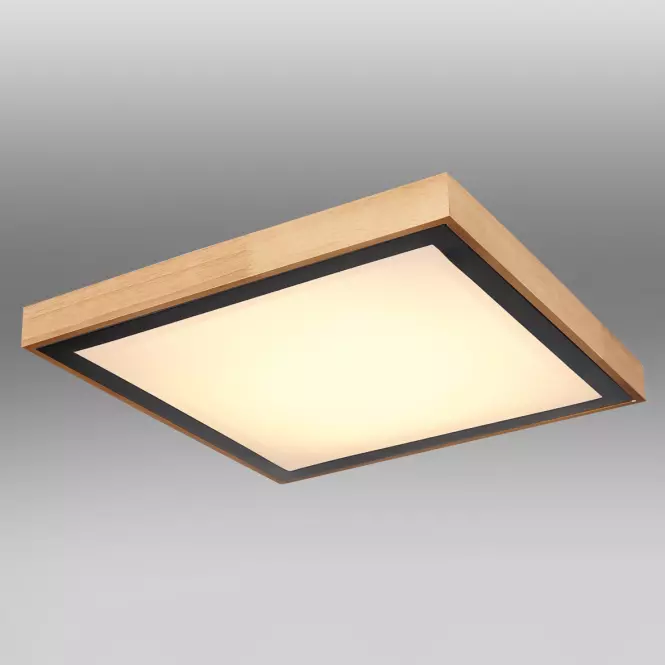Stropnica 41764-24Q LED PL,3