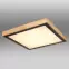 Stropnica 41764-24Q LED PL,3