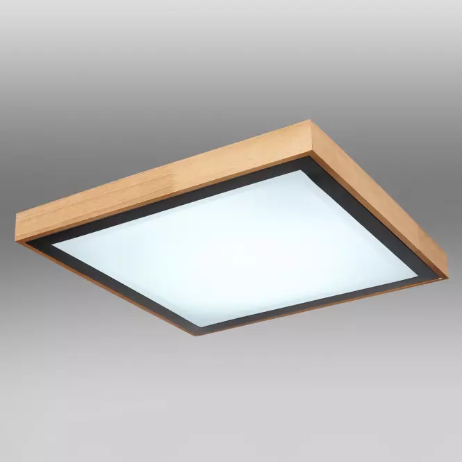 Stropnica 41764-24Q LED PL,4