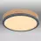 Stropnica 416080WD1R LED 12W grafit PL