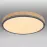 Stropnica 416080WD2R LED 24W grafit PL