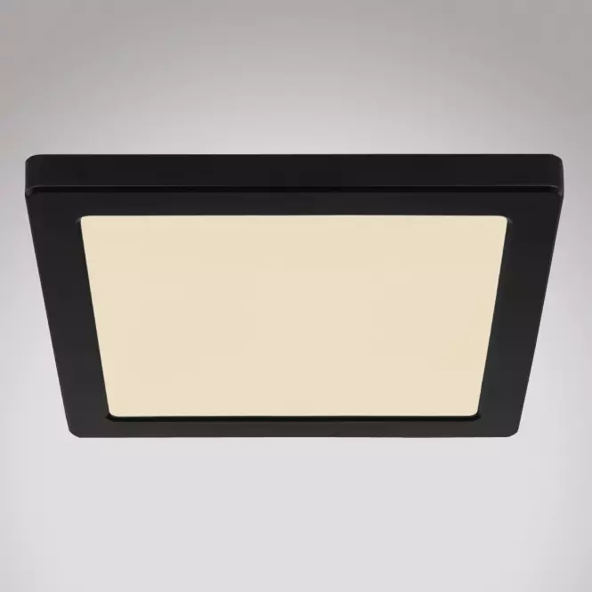 Stropnica 12380-18B LED 18W čierna PL