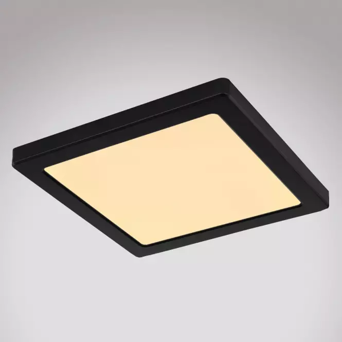 Stropnica 12380-18B LED 18W čierna PL,3