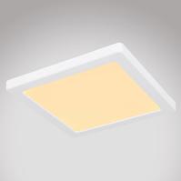 Stropnica 12380-18W LED 18W biely PL