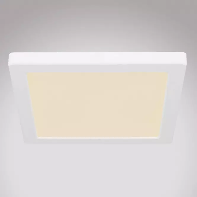 Stropnica 12380-18W LED 18W biely PL