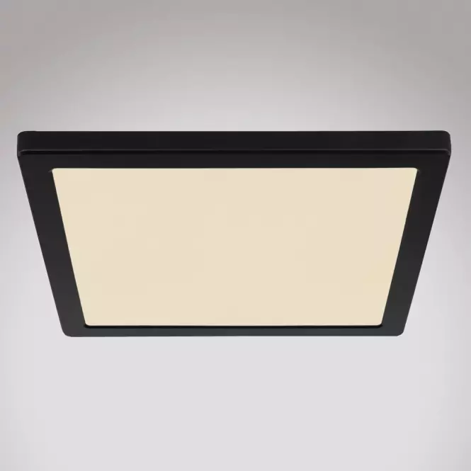 Stropnica 12380-24B LED 24W čierna PL,3