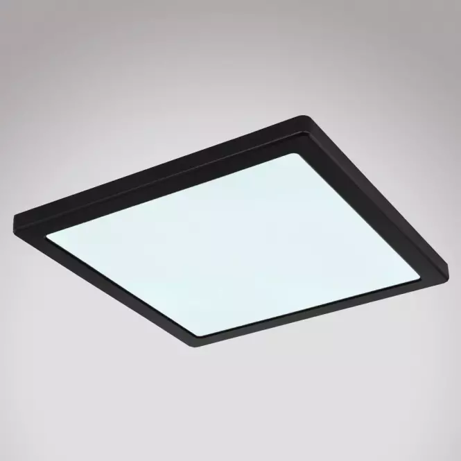Stropnica 12380-24B LED 24W čierna PL