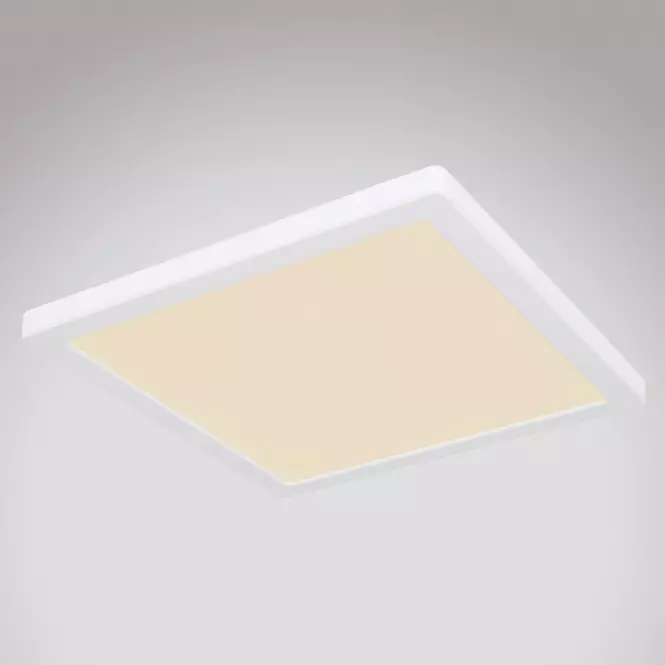 Stropnica 12380-24W LED 24W biely PL
