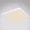 Stropnica 12380-24W LED 24W biely PL