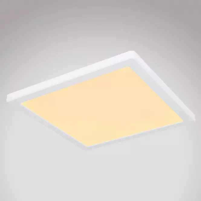 Stropnica 12380-24W LED 24W biely PL,2
