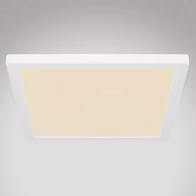 Stropnica 12380-24W LED 24W biely PL,3