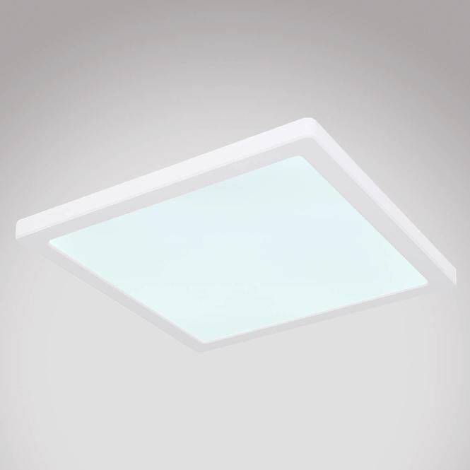 Stropnica 12380-24W LED 24W biely PL