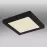 Stropnica 12380-12B LED 12W čierna PL