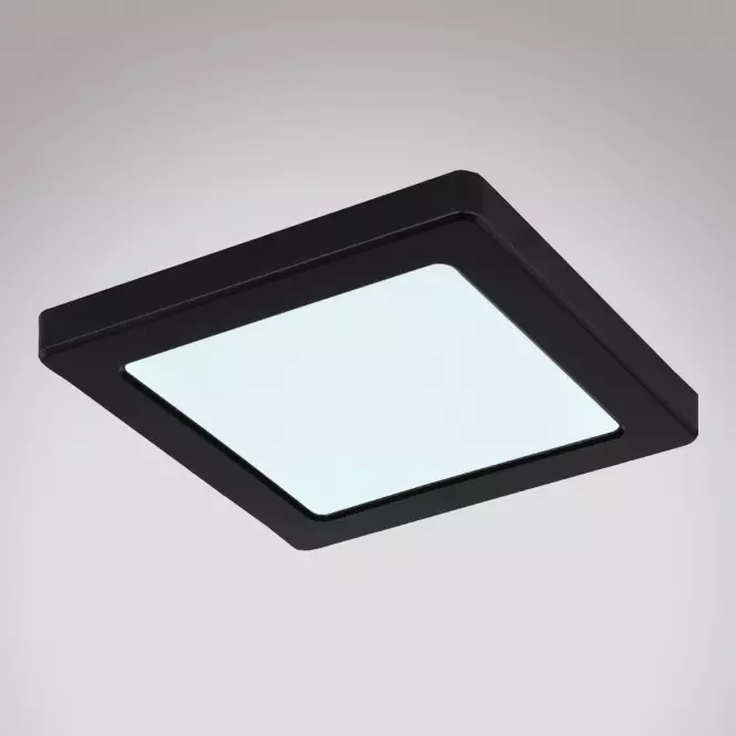 Stropnica 12380-12B LED 12W čierna PL