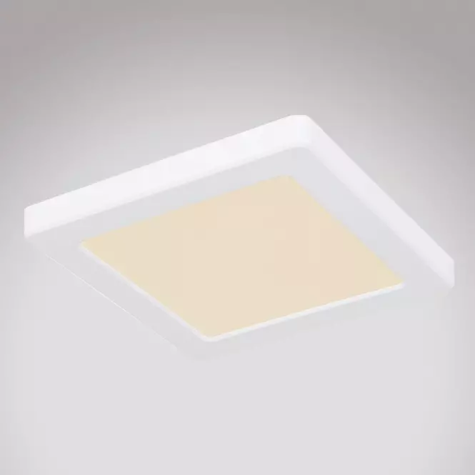 Stropnica 12380-12W LED 12W biely PL