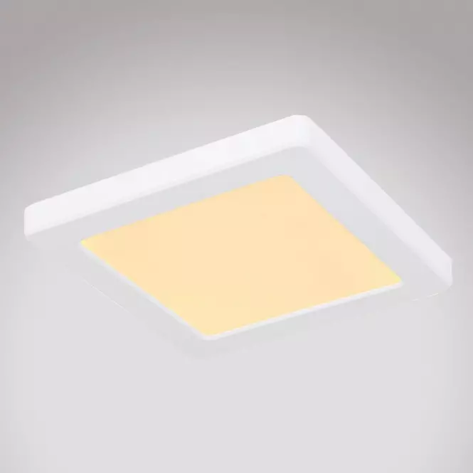 Stropnica 12380-12W LED 12W biely PL,2