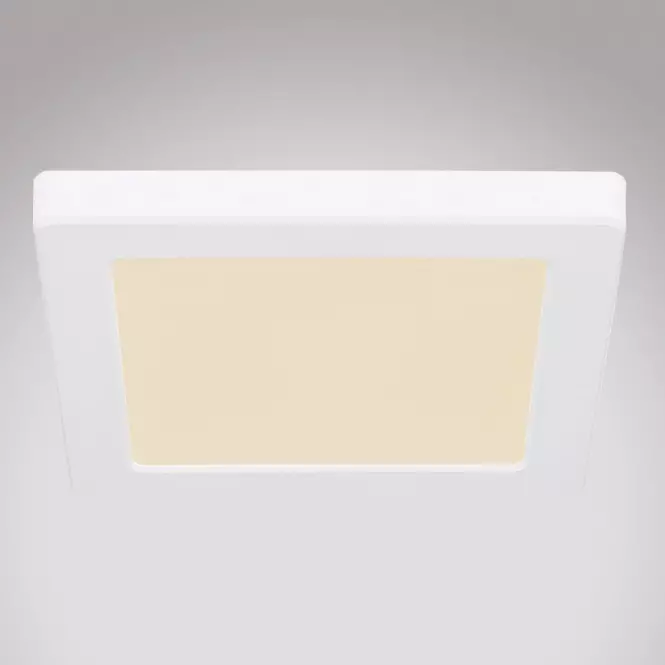 Stropnica 12380-12W LED 12W biely PL,3