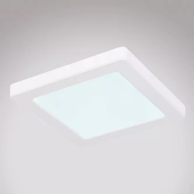 Stropnica 12380-12W LED 12W biely PL