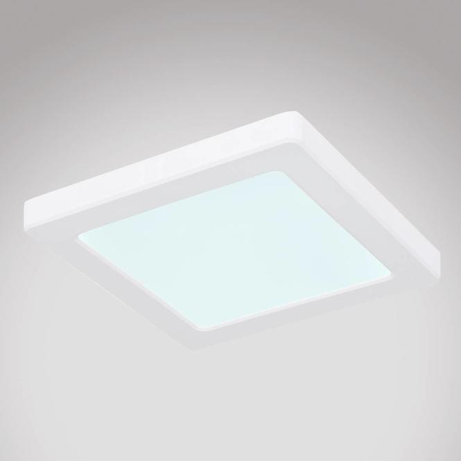 Stropnica 12380-12W LED 12W biely PL