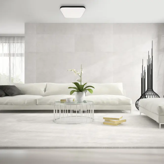Stropné prisadené svietidlo Avalon Black EK77862 25W KW SKY PL1