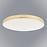 Stropnica Olympia Gold EK77868 18W PL1