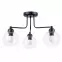 Luster Selena C3 Transparent-Ap-See 273TR LW3,2