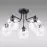 Luster Selena C5 Transparent-Ap-See275TR LW5