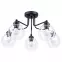Luster Selena C5 Transparent-Ap-See275TR LW5,2