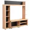 Obývacia stena Rubi artisan 11008241,8
