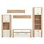 Obývacia stena Opus artisan/biely dub 11008881,6