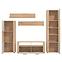 Obývacia stena Opus artisan/biely dub 11008881,7